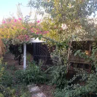 فروش باغ ویلا/۱۰۰۰متر/منتظری/کوچه باغ گلستان|فروش خانه و ویلا|شوش, |دیوار