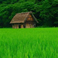 فروش-منزل-مسکونی-در-فارسان