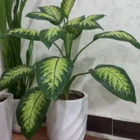 دو عدد گل و گلدان سرامیکی