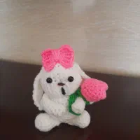 جاسوئیچی خرگوش دست‌بافت