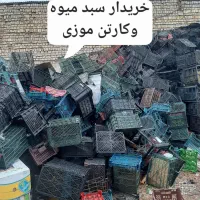 سبد و کارتن موزی