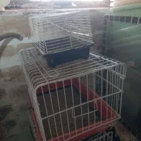 قفس خرگوش وخوکچه وجانونی همستر