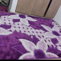 فرش شگی یاسی