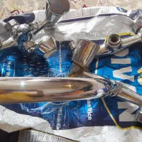 شیر قهرمان درحد نو