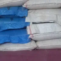 گندم مهرگان