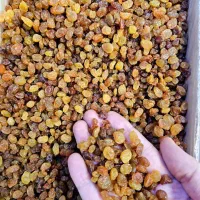 ادویه جات عطار باشی|خوردنی و آشامیدنی|تهران, نعمت‌آباد|دیوار