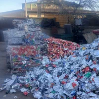 ضایعات قوطی رانی