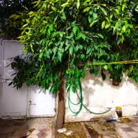 فروش آپارتمان ۱۰۰ متری ۲ خوابه همکف در شهرک سعدی