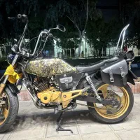 هارلی کاستوم