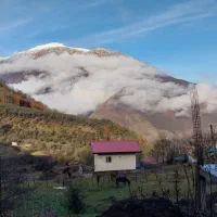 سیمانکاری تخریب دیوارچینی پی کنی پابیل پای درخت