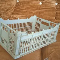 سبد میوه در حد نو