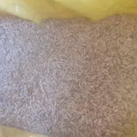 بهار|گل و گیاه طبیعی|دلگان, |دیوار