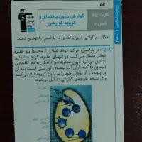 فلش کارت زیست دهم|کتاب و مجله آموزشی|تهران, آبشار|دیوار