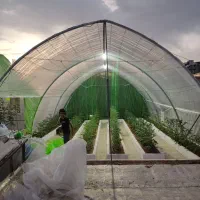 سازه گلخانه