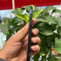 Iphone 14promax|موبایل|شیراز, گود عربان|دیوار