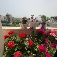 فروش آپارتمان ۱۵۵ متری سلمان فارسی