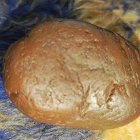 فروش ۲عددکربنادو
