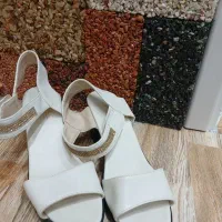 کفش در حد نو|کیف، کفش، کمربند|اردبیل, |دیوار