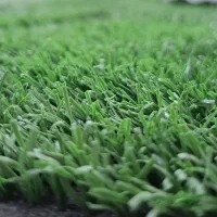 تاتامی و دیوارپوش و چمن مصنوعی|تجهیزات ورزشی|کرمانشاه, |دیوار