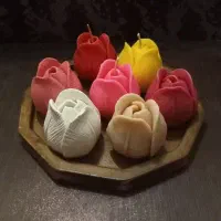 عرضه انواع قالب سیلیکونی