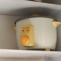 پلوپز سانی sunny