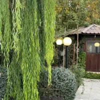 گردش و پیاده روی