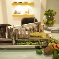 دستگاه خشک کن میوه و اسلایسر  استیل کشویی دستی