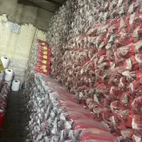 فروش کپسول آتش نشانی
