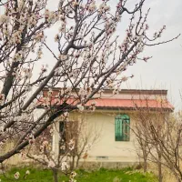باغچه-الوان-درارنسا
