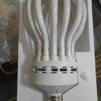 لامپ کم مصرف|لامپ و چراغ|تبریز, |دیوار