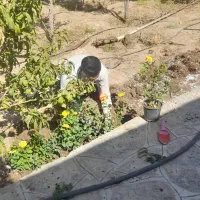 اجرای باغچه کاری و ویلا سازی