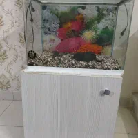 آکواریوم با ام دی اف سالم