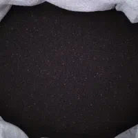 فروش بذر خرفه بوجاری شده|گل و گیاه طبیعی|مرودشت, شهرک مهدیه|دیوار