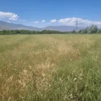 زمین|فروش زمین و ملک کلنگی|کشکسرای, |دیوار