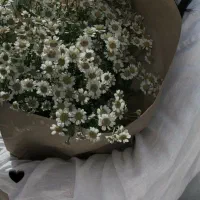 سرویس مدارس