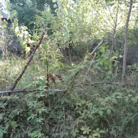 زمین-مسکونی-به-متراژ-200-متر
