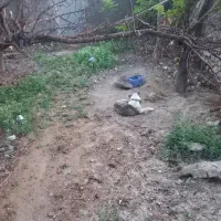 سرگرمی فراغت