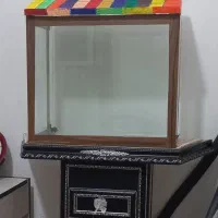 اکواریوم|ماهی|زاهدان, |دیوار