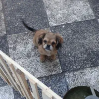 نر و ماده هر کدوم از یه مادر