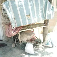 چرخ تافی میوه فروشی آهنی نوساز