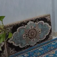 پشتی