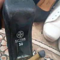 دوجفت کفش فروشی جفتی۳۰۰|کیف، کفش، کمربند|دهلران, |دیوار