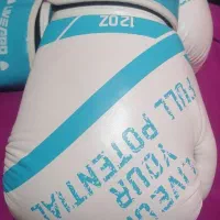 دستکش بوکس livepro نو|تجهیزات ورزشی|رامهرمز, |دیوار