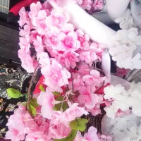 گل مصنوعی سر گل شکوفه و شاخه اب|گل مصنوعی|کوه چنار, |دیوار