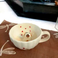 ماگ های عروسکی