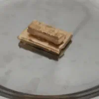 شمش آب شده