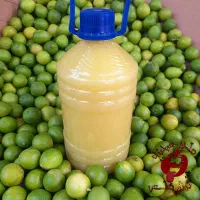 آبلیمو طبیعی امساله بدون تلخی|عمدهفروشی|قم, پامنار|دیوار