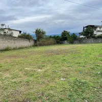 گنجینه ای نایاب و دست نخورده