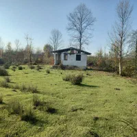 زمین مرغداری|فروش زمین و ملک کلنگی|سیاهکل, |دیوار