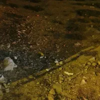 زمین-200متری-دلالی-دلالی